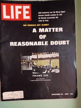LIFE Magazine Nov 25,1966